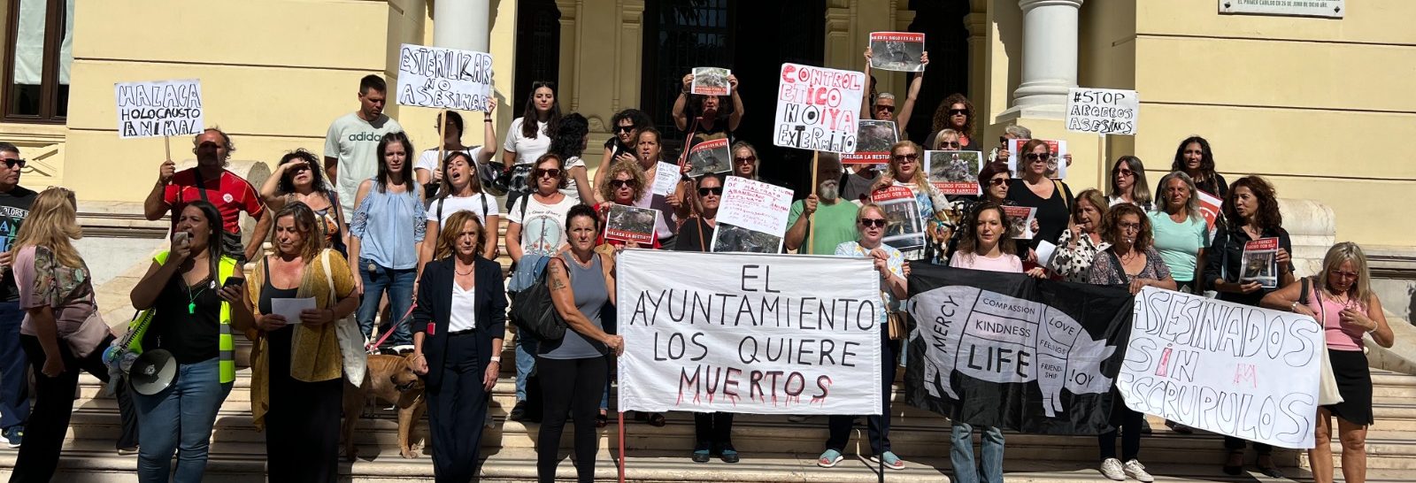 El PSOE lamenta que para el PP en Málaga el compromiso medioambiental y el bienestar animal “es sólo un pin en la solapa”