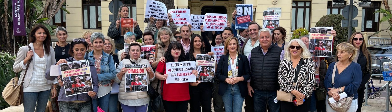 El PSOE exige el cumplimiento de la Ley de Bienestar Animal y el cese de Penélope Gómez por incumplir la normativa sobre gatos comunitarios